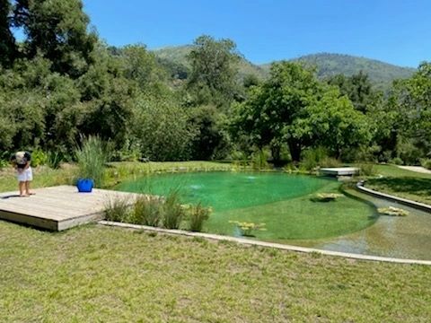 Shell's own natural swimming pool: clear green water with plantings, wooden deck, and hills behind